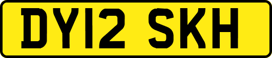 DY12SKH