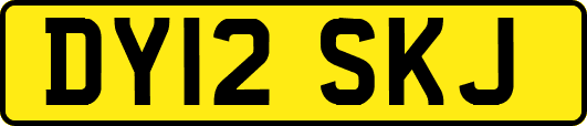 DY12SKJ