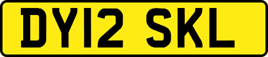 DY12SKL