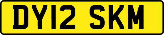 DY12SKM