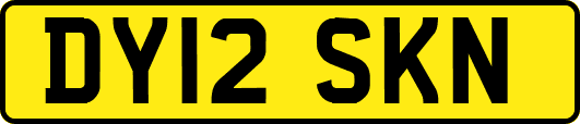 DY12SKN