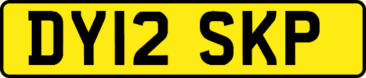 DY12SKP