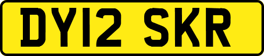 DY12SKR