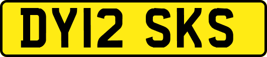 DY12SKS