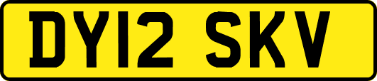 DY12SKV
