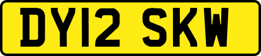 DY12SKW