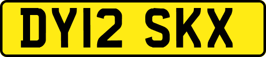 DY12SKX