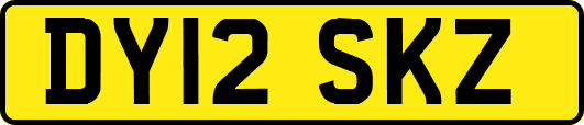 DY12SKZ