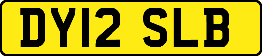 DY12SLB