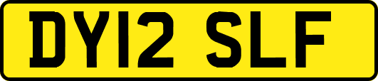 DY12SLF
