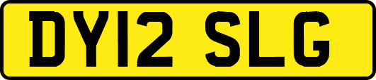 DY12SLG
