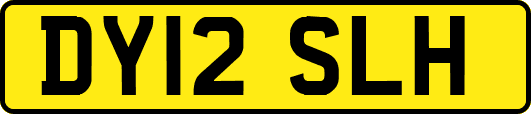 DY12SLH
