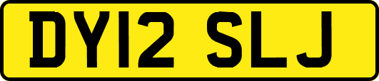 DY12SLJ