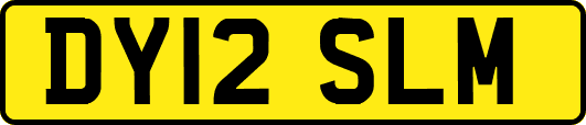DY12SLM