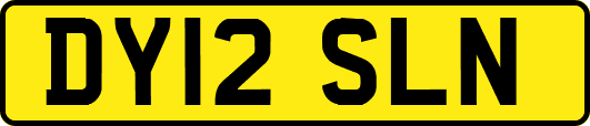 DY12SLN