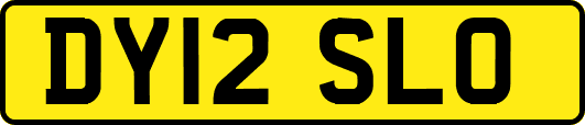 DY12SLO