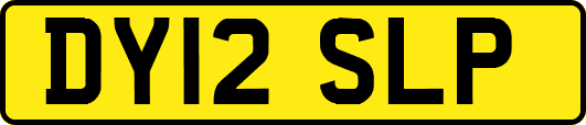 DY12SLP