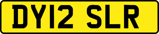 DY12SLR