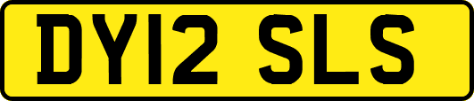 DY12SLS