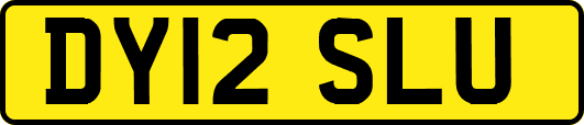 DY12SLU
