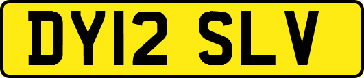 DY12SLV