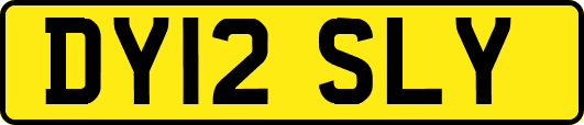 DY12SLY