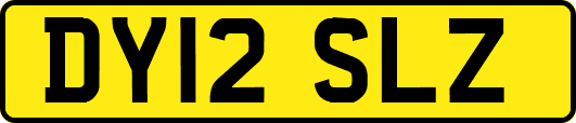 DY12SLZ