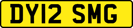 DY12SMG