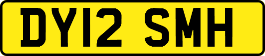 DY12SMH