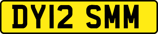 DY12SMM