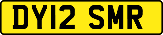DY12SMR