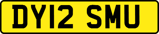 DY12SMU