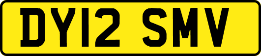 DY12SMV