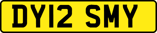 DY12SMY