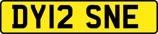 DY12SNE