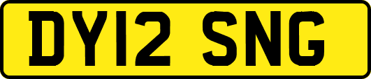 DY12SNG