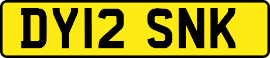 DY12SNK