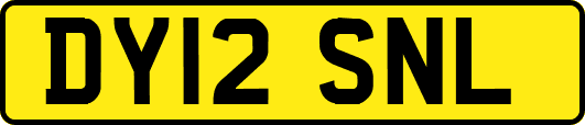 DY12SNL