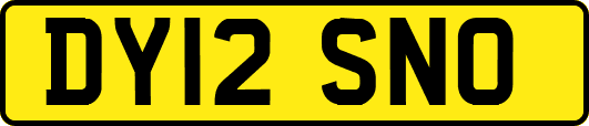 DY12SNO
