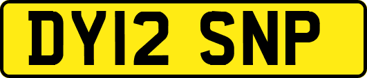 DY12SNP
