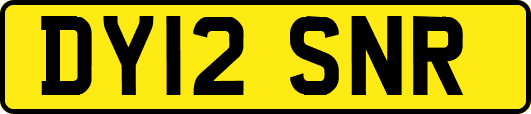 DY12SNR