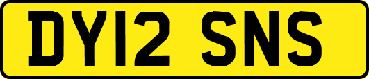 DY12SNS