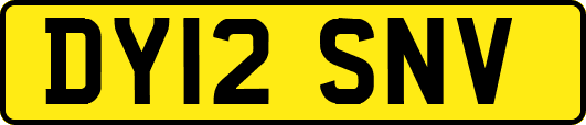 DY12SNV