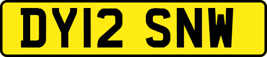 DY12SNW