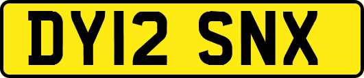 DY12SNX