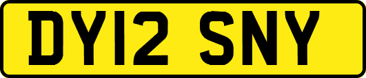 DY12SNY