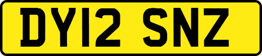 DY12SNZ