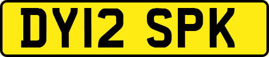 DY12SPK