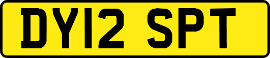 DY12SPT