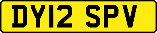 DY12SPV